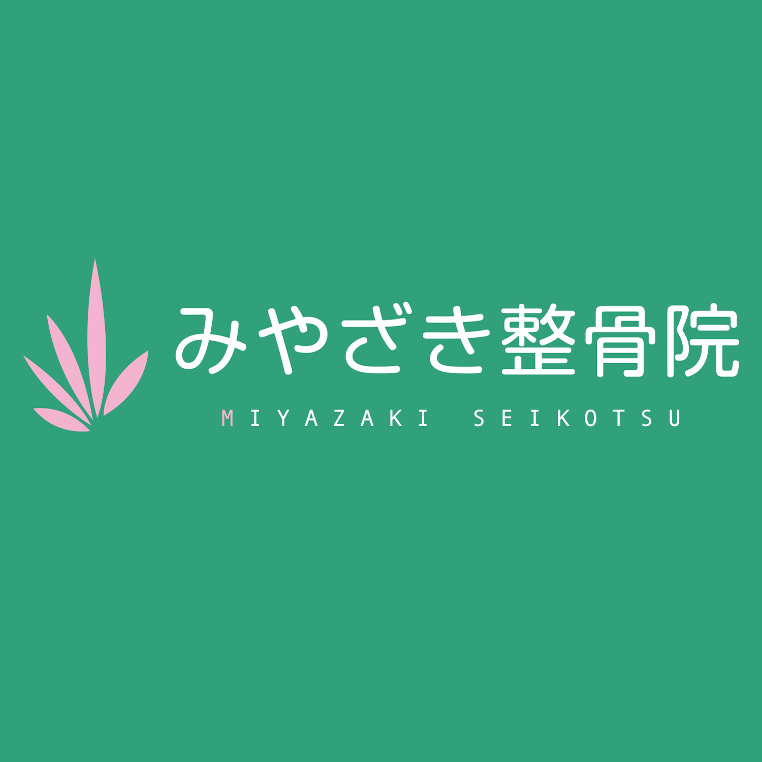 www.miyazaki-seikotsuin.com