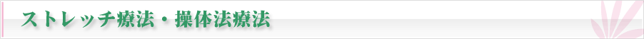 ストレッチ療法・操体法療法